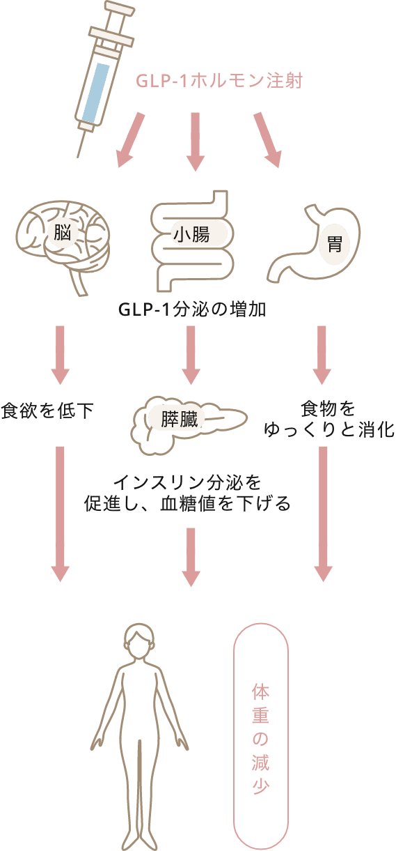 GLP-1受容体作動薬
